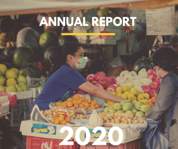 Annual Report cover 2020